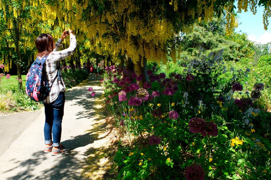 VanDusen Gardens